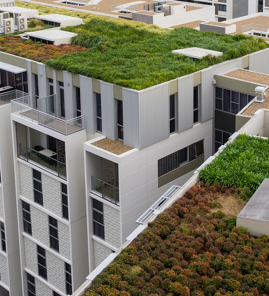 garden roof on skyscraper