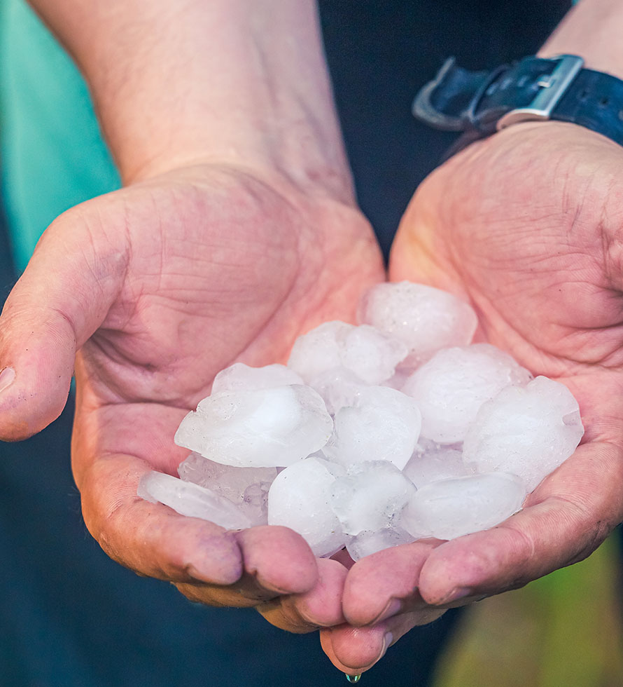 holding hail